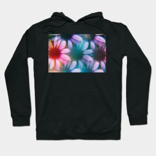 Echinacea flowers photographed through prism Hoodie